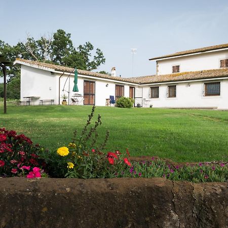 فيترالّا Agriturismo Il Poggio المظهر الخارجي الصورة