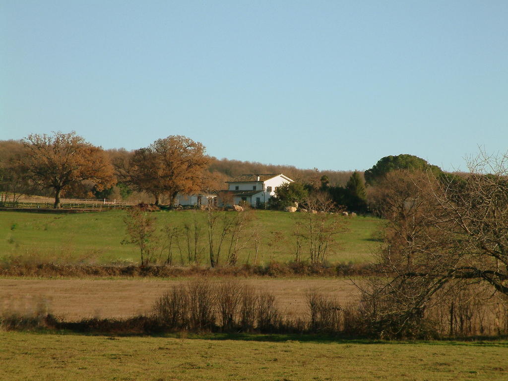 فيترالّا Agriturismo Il Poggio المظهر الخارجي الصورة