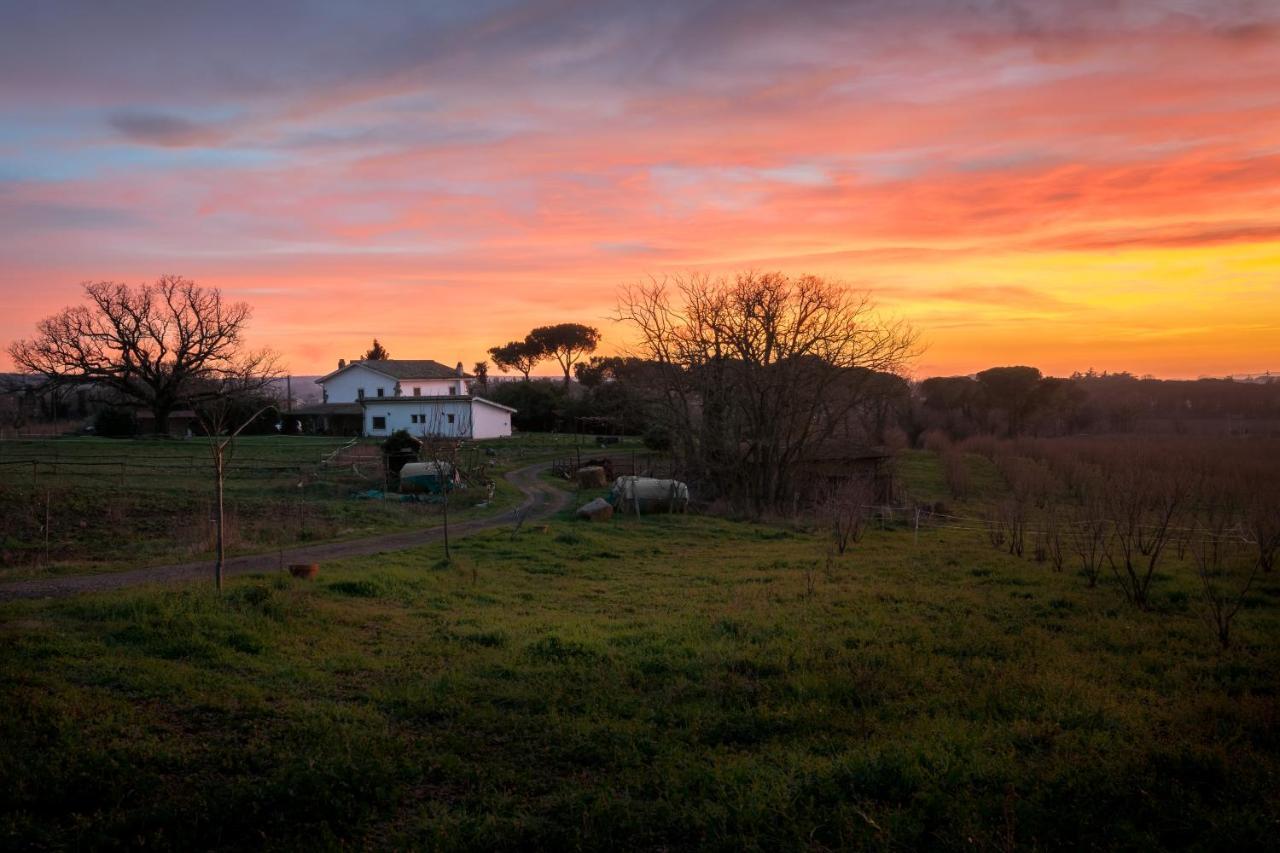 فيترالّا Agriturismo Il Poggio المظهر الخارجي الصورة