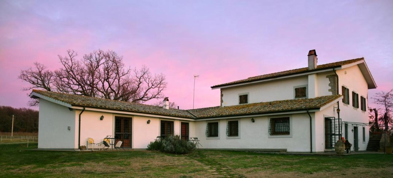 فيترالّا Agriturismo Il Poggio المظهر الخارجي الصورة