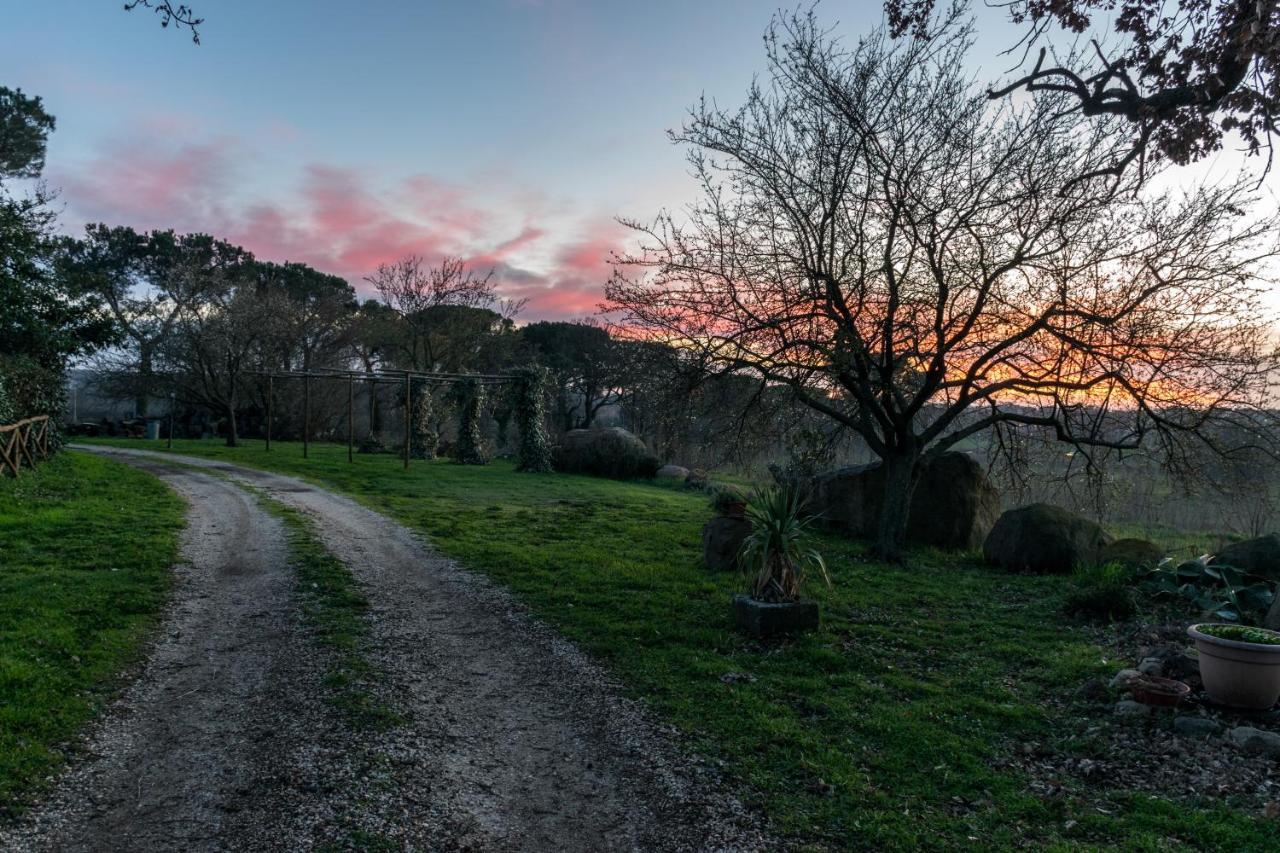 فيترالّا Agriturismo Il Poggio المظهر الخارجي الصورة