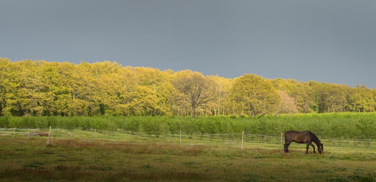 فيترالّا Agriturismo Il Poggio المظهر الخارجي الصورة