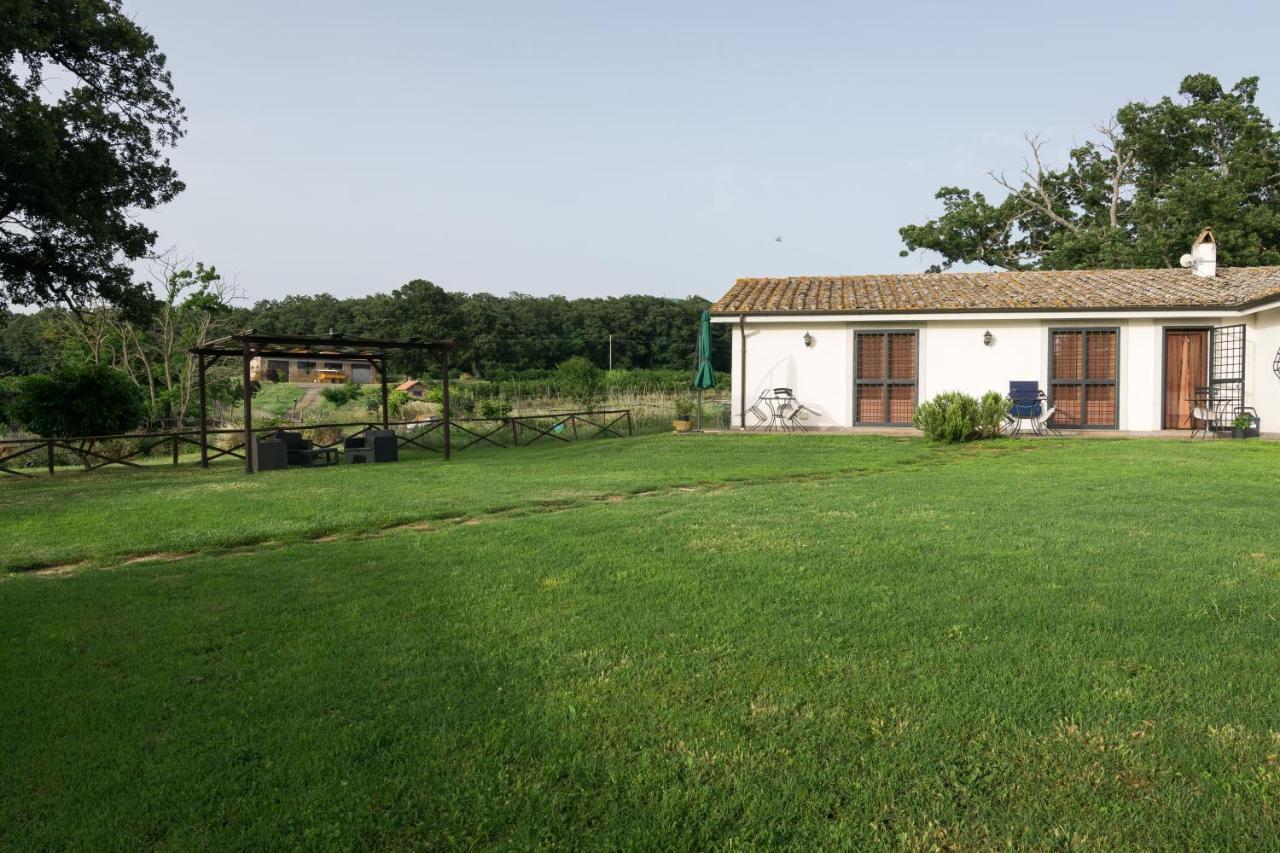 فيترالّا Agriturismo Il Poggio المظهر الخارجي الصورة