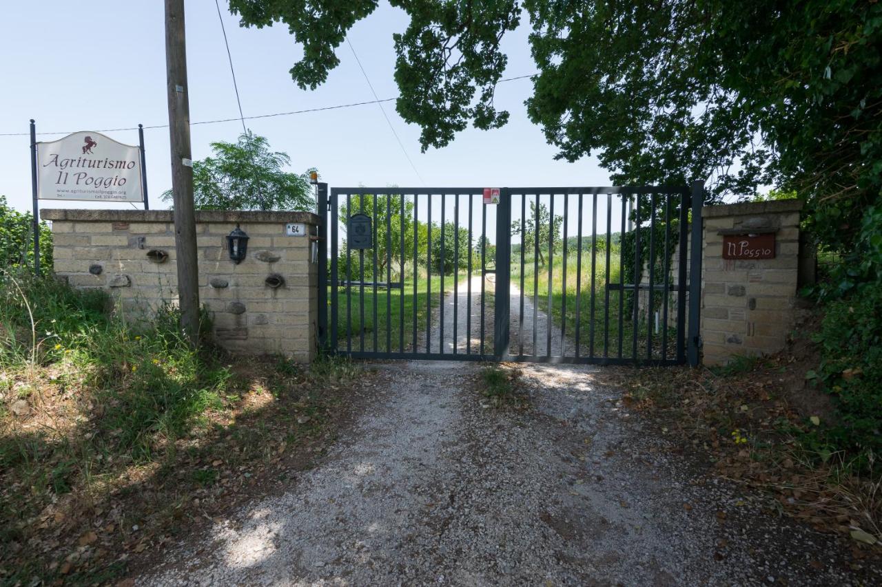 فيترالّا Agriturismo Il Poggio المظهر الخارجي الصورة