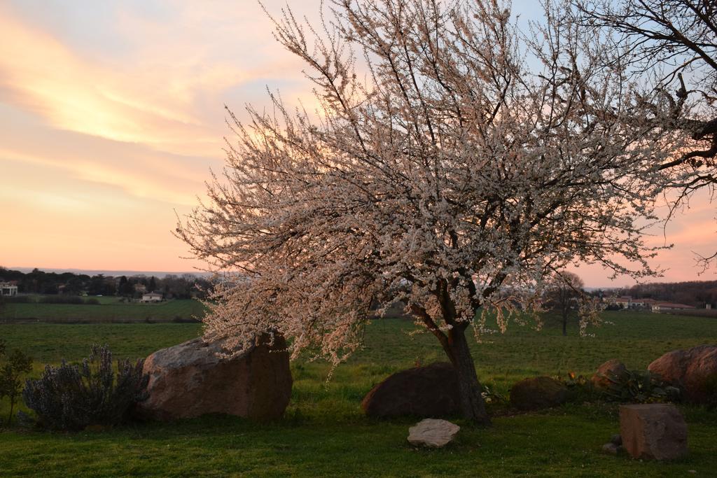 فيترالّا Agriturismo Il Poggio المظهر الخارجي الصورة