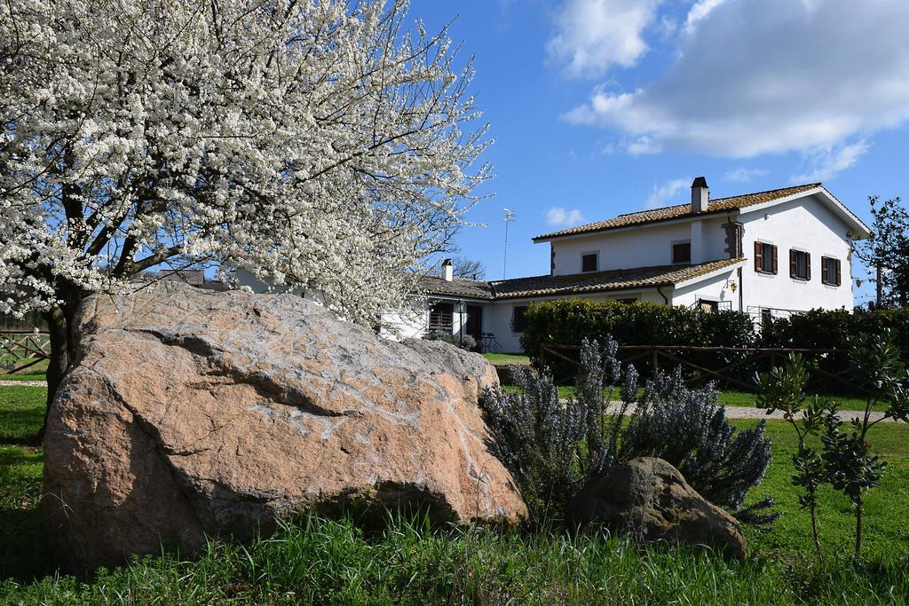 فيترالّا Agriturismo Il Poggio المظهر الخارجي الصورة